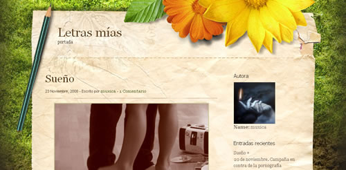 Tema Wordpress Tema Wordpress