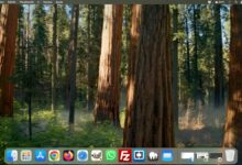 Cómo ordenar carpetas y archivos en el Finder de macOS