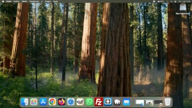Cómo ordenar carpetas y archivos en el Finder de macOS