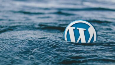 Cómo efectuar copias de artículos en WordPress de manera fácil y eficiente
