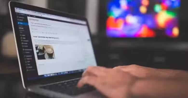 Plugins para WordPress