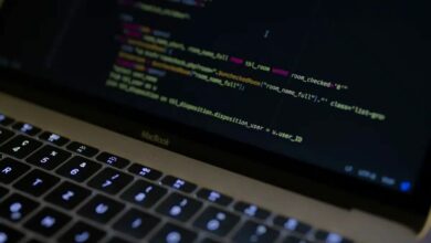 Utilizar dos consultas SQL para limpiar la base de datos de WordPress