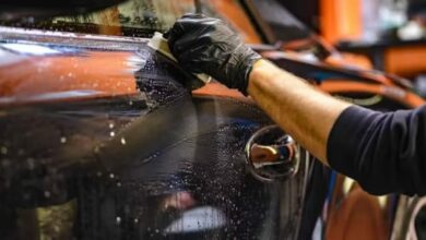 Cómo optimizar la base de datos de WordPress