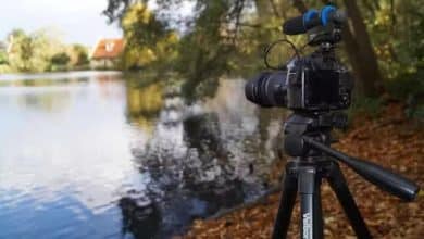 Crear código personalizado para insertar shortcodes en WordPress