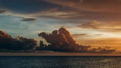 Cómo añadir una imagen destacada en todos los artículos de WordPress