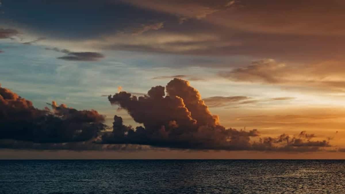 Cómo añadir una imagen destacada en todos los artículos de WordPress