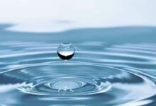 Cómo eliminar datos innecesarios en WordPress, y algo más