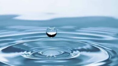 Cómo eliminar datos innecesarios en WordPress, y algo más