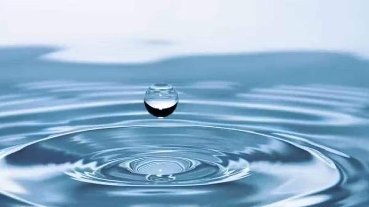 Cómo eliminar datos innecesarios en WordPress, y algo más