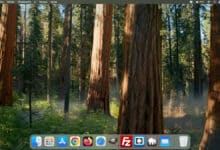Cómo compartir archivos entre un ordenador Mac y dispositivos iOS