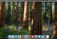 Indicar que items mostrar en la barra lateral del Finder de un ordenador Mac
